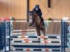 jumper Hickstead de Ferra (Westphalian, 2019, from Hickstead White)