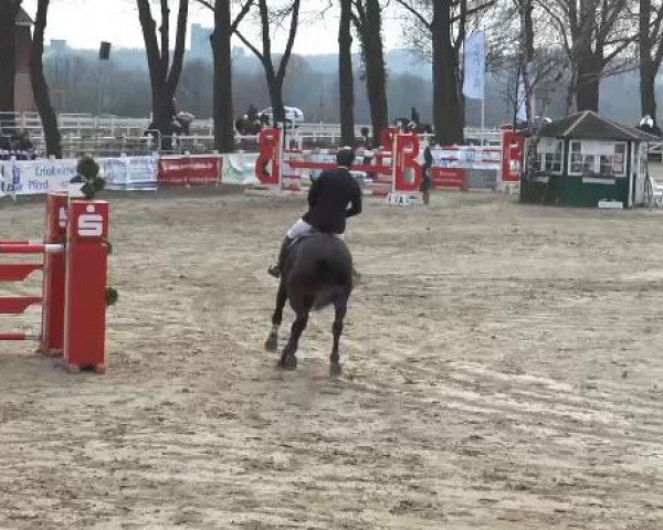 Lenklarer Reitertage auf der Reitsportanlage Gripshöver 2013