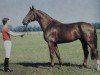 stallion Intervall (Mecklenburg, 1982, from Impuls)