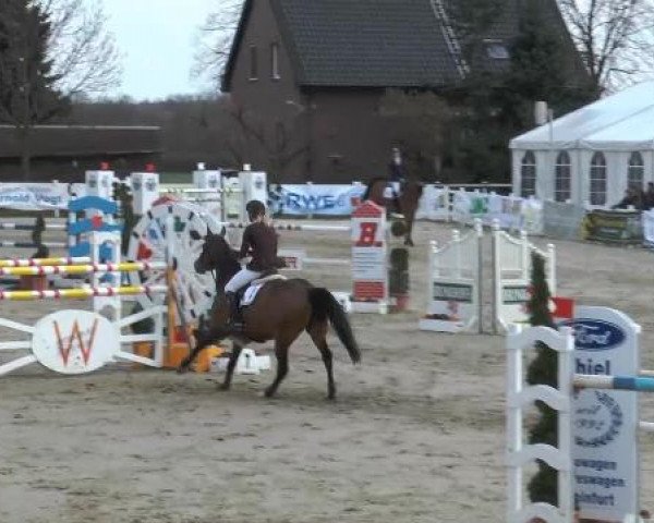 Lenklarer Reitertage auf der Reitsportanlage Gripshöver 2013