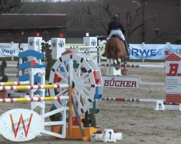 Lenklarer Reitertage auf der Reitsportanlage Gripshöver 2013