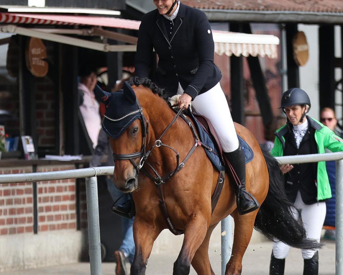 Springpferd Canturo's Cookie (Westfale, 2008, von Canturo)