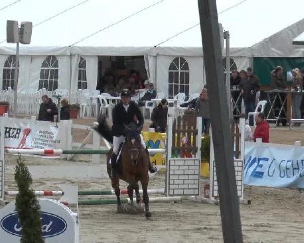 Lenklarer Reitertage auf der Reitsportanlage Gripshöver 2013
