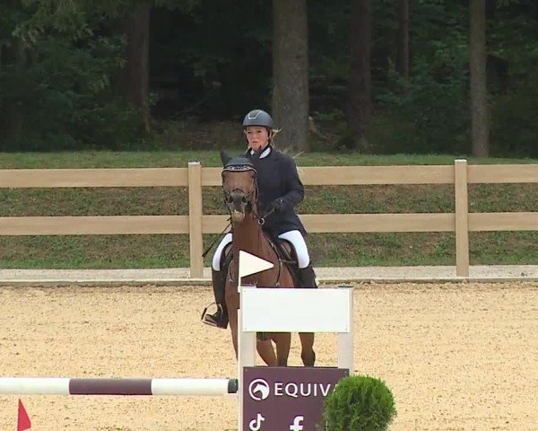 Reitturnier Tiefenhof/Opf. 2024