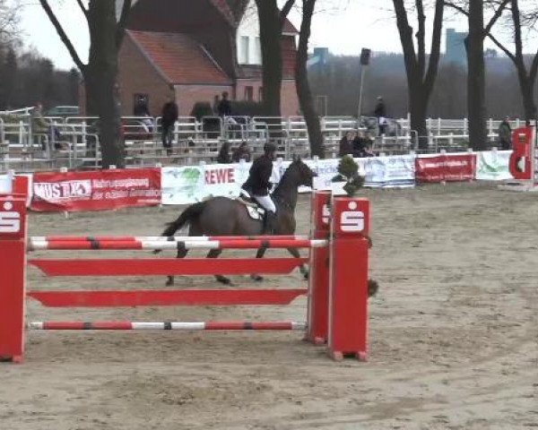 Lenklarer Reitertage auf der Reitsportanlage Gripshöver 2013