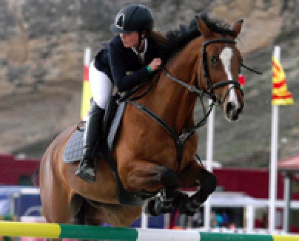 Springpferd Filia Yar (Spanisches Sportpferd, 2005, von Amateur Z)