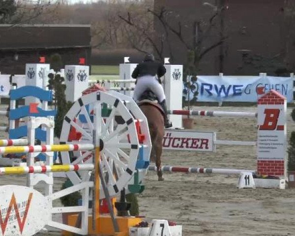 Lenklarer Reitertage auf der Reitsportanlage Gripshöver 2013