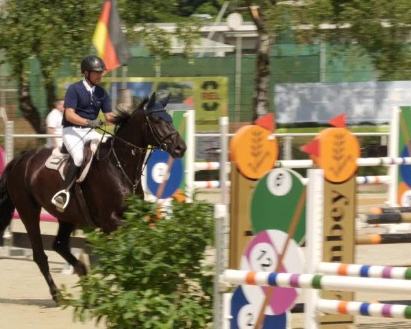Reitturnier Mannheim-Friedrichsfeld 2024