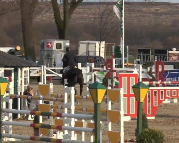 Lenklarer Reitertage auf der Reitsportanlage Gripshöver 2013
