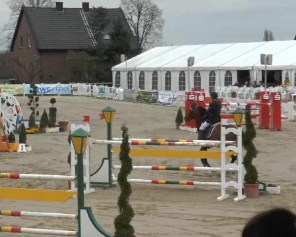 Lenklarer Reitertage auf der Reitsportanlage Gripshöver 2013