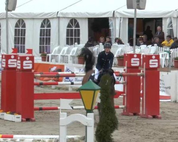 Lenklarer Reitertage auf der Reitsportanlage Gripshöver 2013