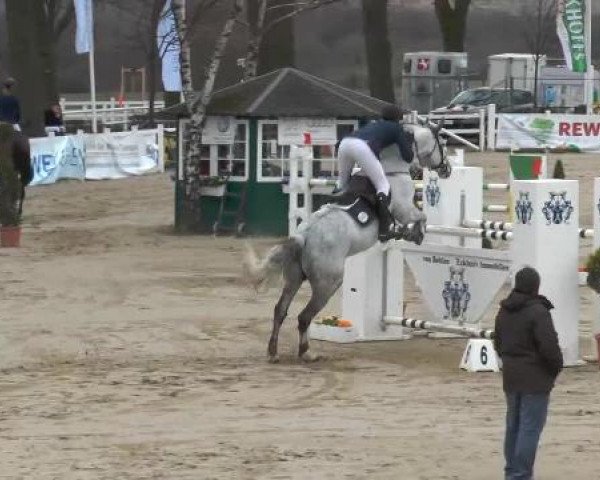 Lenklarer Reitertage auf der Reitsportanlage Gripshöver 2013