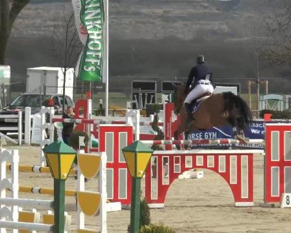 Lenklarer Reitertage auf der Reitsportanlage Gripshöver 2013