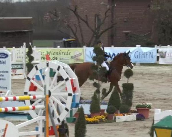 Lenklarer Reitertage auf der Reitsportanlage Gripshöver 2013
