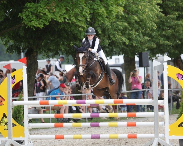 Zuchtstute Ginette La Gamine (Deutsches Reitpony, 2007, von Gotas B.482 x)