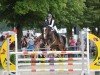 broodmare Ginette La Gamine (German Riding Pony, 2007, from Gotas B.482 x)