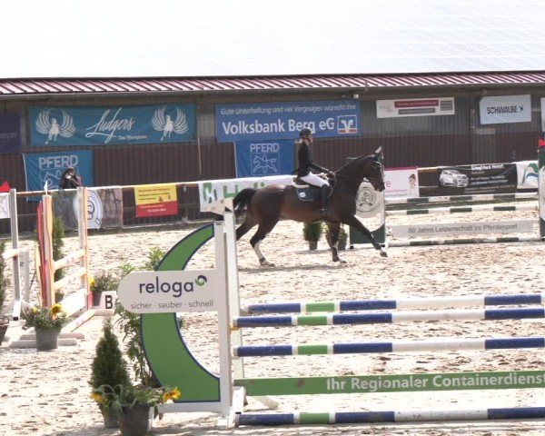 Reitturnier Marienheide-Kempershöhe 2024