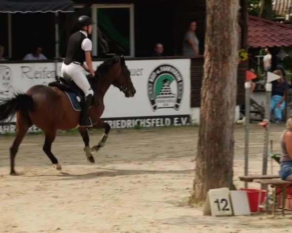 Reitturnier Mannheim-Friedrichsfeld 2024