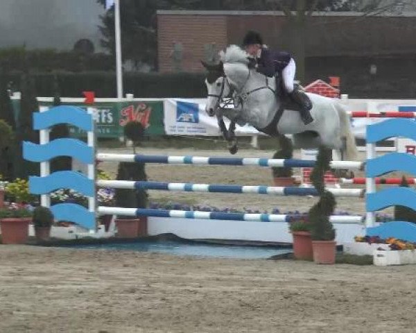 Lenklarer Reitertage auf der Reitsportanlage Gripshöver 2013
