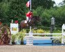 jumper Gilea (Polish Warmblood, 2006, from Ludger)