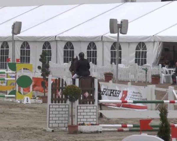 Lenklarer Reitertage auf der Reitsportanlage Gripshöver 2013