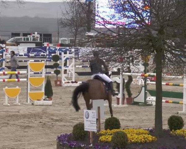 Lenklarer Reitertage auf der Reitsportanlage Gripshöver 2013