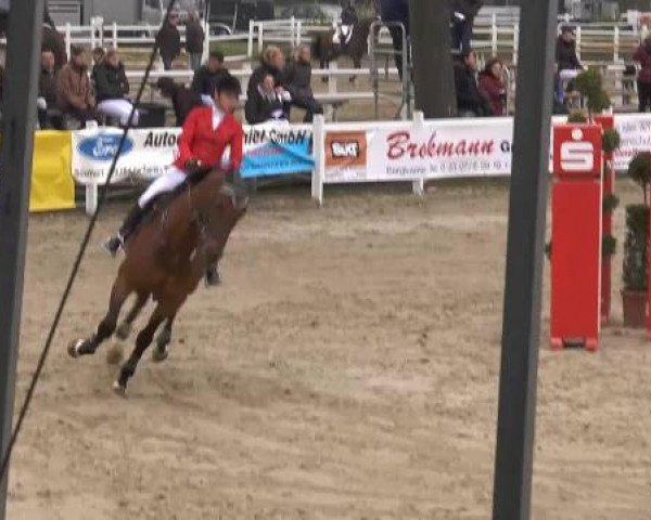 Lenklarer Reitertage auf der Reitsportanlage Gripshöver 2013