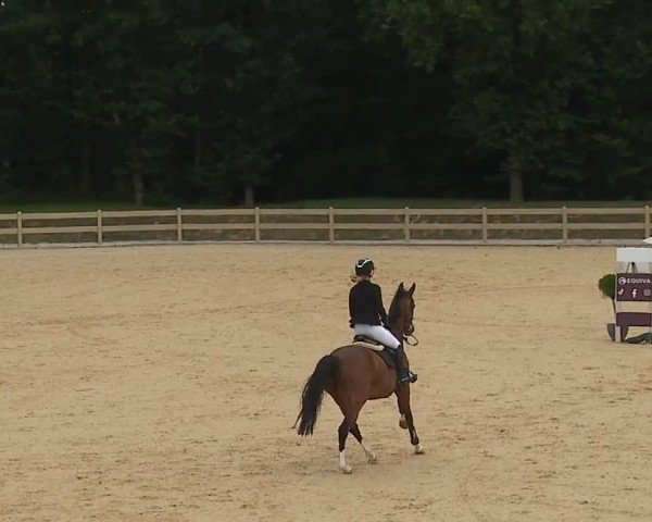 Reitturnier Tiefenhof/Opf. 2024