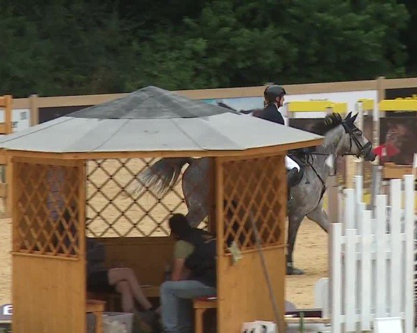 Reitturnier Tiefenhof/Opf. 2024