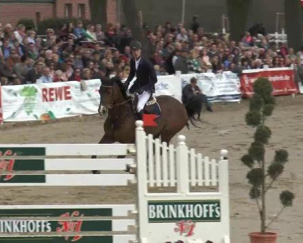 Lenklarer Reitertage auf der Reitsportanlage Gripshöver 2013