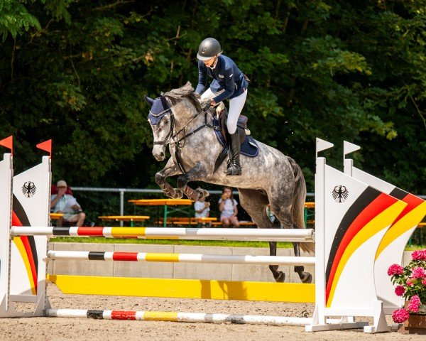 jumper Chacco´s Frieda (German Sport Horse, 2019, from Chacco's Son II)