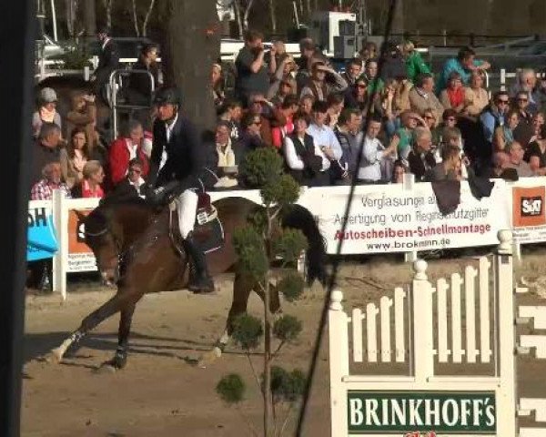 Lenklarer Reitertage auf der Reitsportanlage Gripshöver 2013
