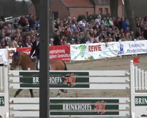 Lenklarer Reitertage auf der Reitsportanlage Gripshöver 2013