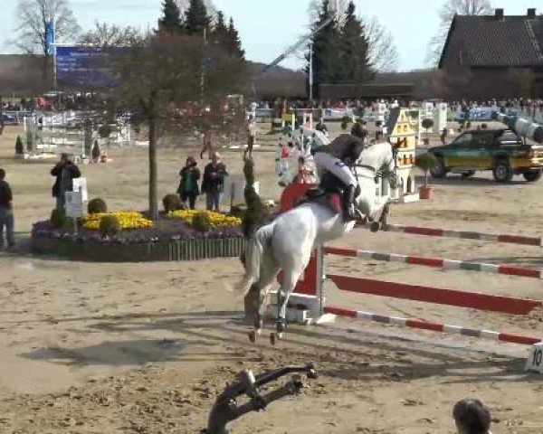 Lenklarer Reitertage auf der Reitsportanlage Gripshöver 2013