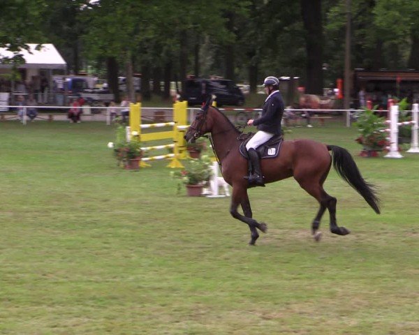 Reitturnier Zobbenitz 2024