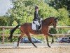 dressage horse Bonbonito (Hanoverian, 2019, from Bon Coeur)