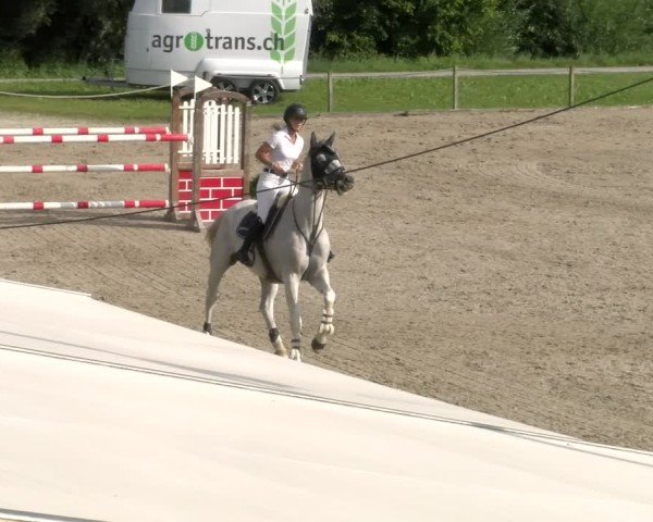 Reitturnier Gossau 2024