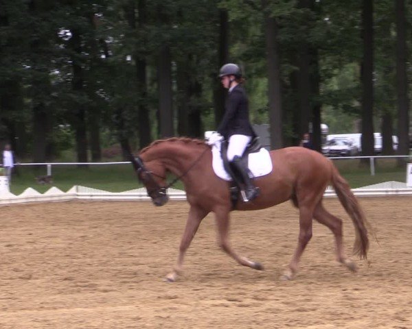 Reitturnier Zobbenitz 2024