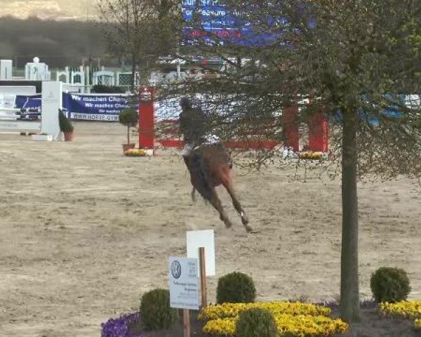 Lenklarer Reitertage auf der Reitsportanlage Gripshöver 2013