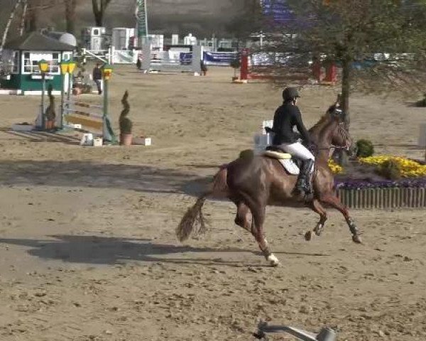 Lenklarer Reitertage auf der Reitsportanlage Gripshöver 2013