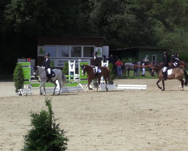 Reitturnier Arnsberg-Holzen 2024