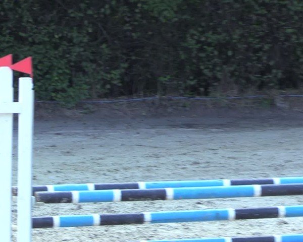 Reitturnier Arnsberg-Holzen 2024