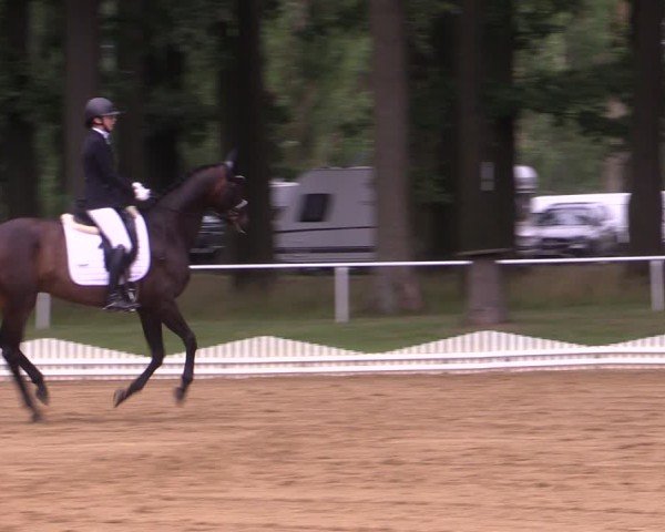 Reitturnier Zobbenitz 2024