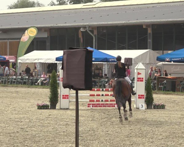 Reitturnier Nettetal-Lobberich 2024