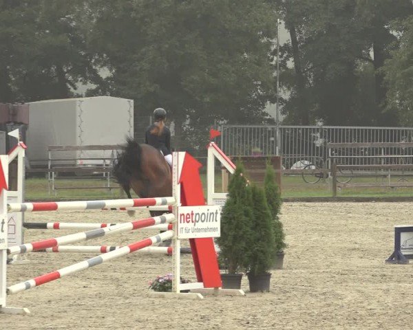 Reitturnier Nettetal-Lobberich 2024