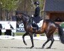 dressage horse Donna Fiderika (unknown,  , from Don Frederico)