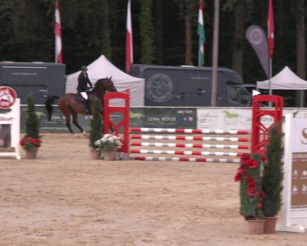 Reitturnier Ranshofen - Braunau am Inn 2024