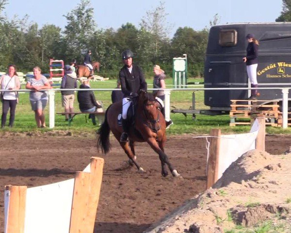 Reitturnier Sollerup 2024