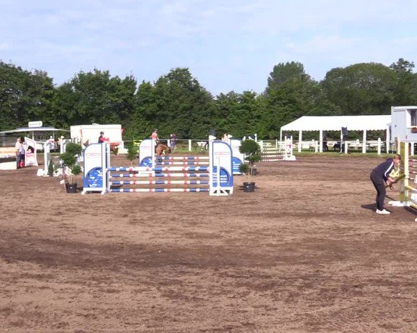 Reitturnier Sollerup 2024