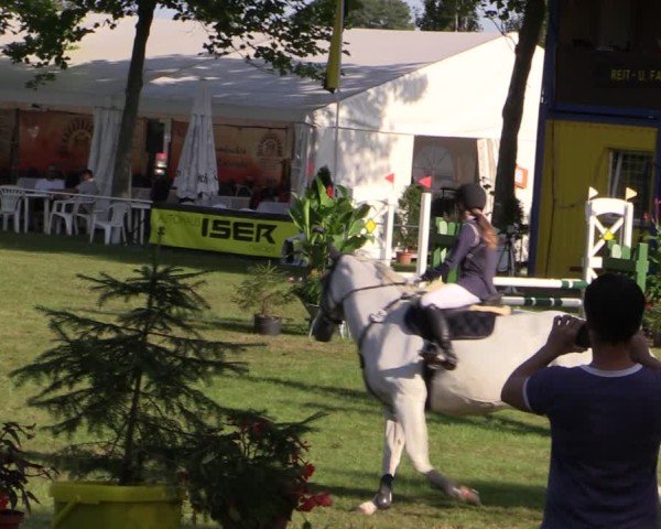 Reitturnier Zobbenitz 2024